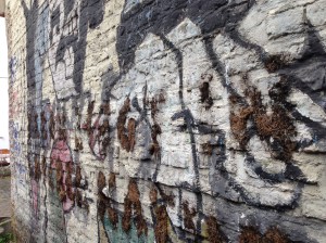 Nahaufnahme. Wie kommt das Moos auf das Bild? 