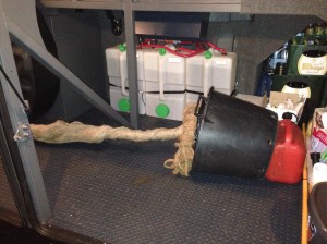 Ein Baum im Bus. Er wurde quer durch Deutschland von Aachen nach Jelenia Gora chauffiert.