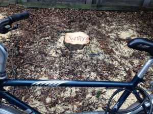 Die Frage nach dem Warum steht im Raum. 