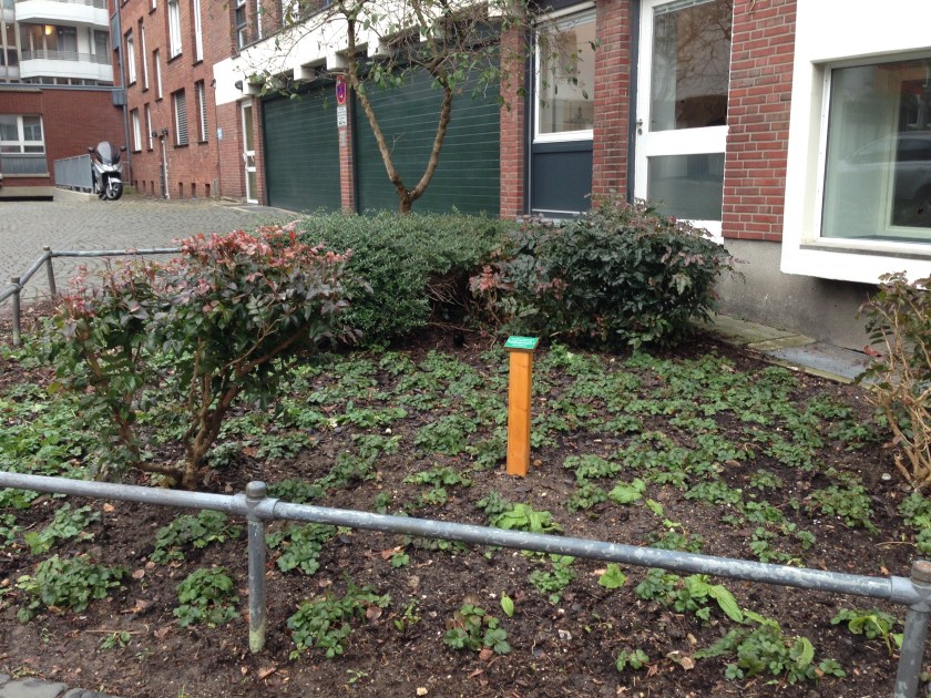 Da ist zu lesen, dass Bürger eine Patenschaft für dieses Fleckchen Grün übernommen haben. (Kreuzung Klappergasse, Rennbahn, Bendelstraße).