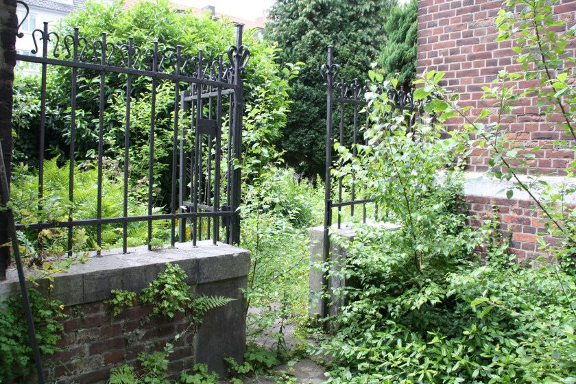 Wo niemand wohnt, da macht sich die Natur breit. So auch in der Klosteranlage der Karmelitinnen in der Aachener Lousbergstraße. 