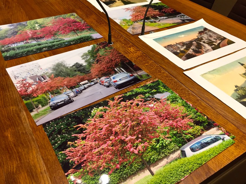 Zur Ansicht für als, die die Nizzaallee nicht kennen. Bürgerinnen und Bürger hatten Fotos ins Rathaus gebracht. 