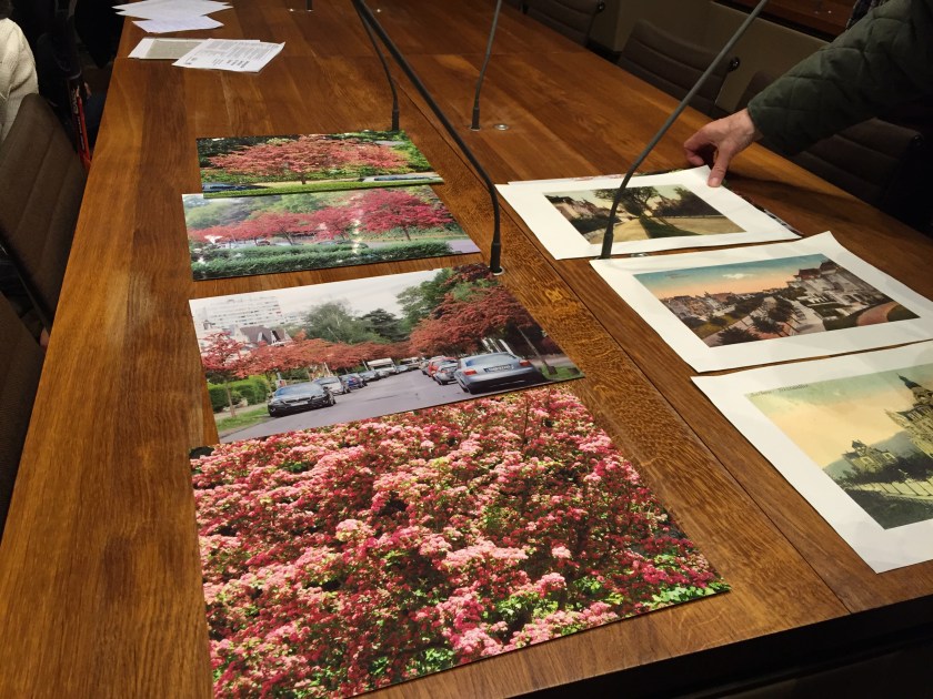 Zu früh gefreut haben sich die Freunde der Rotdornbäume in der Nizzaallee. 24 Bäume sollen fallen. 