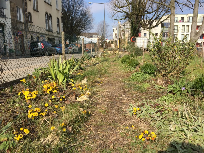 Hier sind keine Gartenbauarchitekten am Werk, sondern Leute wie du und ich und Kinder, die mitten in der Stadt Beete anlegen. 