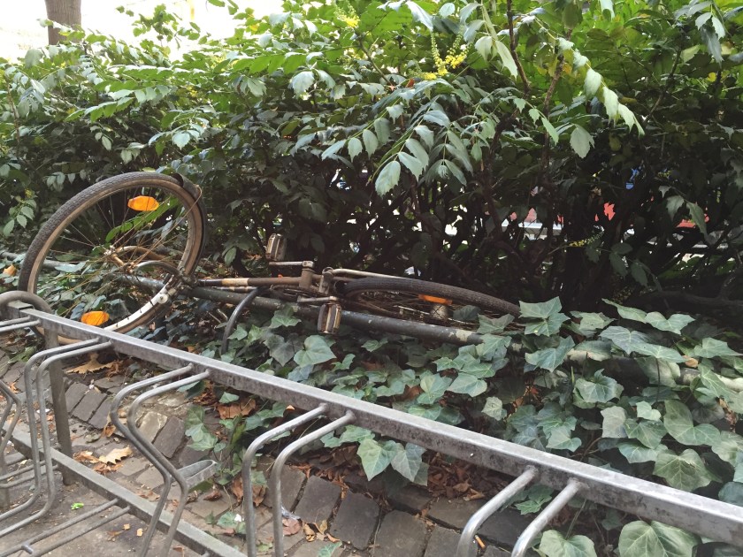 Radfahren in Aachen: Das kann schon mal im Straßenbegleitgrün enden.